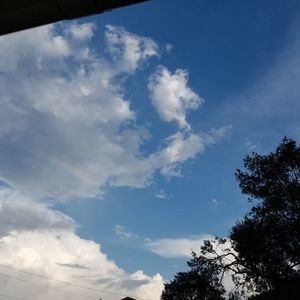 Meet your Posher, Timothy